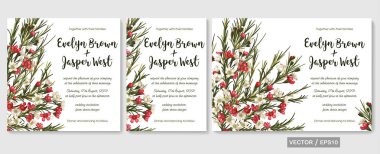 Düğün davet davet menü kartı vektör çiçek yeşil tasarım: güzel chamaelaucium (waxflower) kırmızı ve beyaz çiçek deseni. Kartpostal poster etiket. Suluboya zarif el çekilmiş se