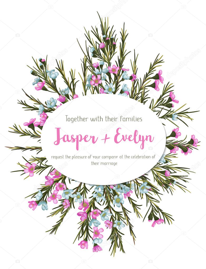 Seamless watercolor pink background of beautiful wax flowers with leaves. Vector patter