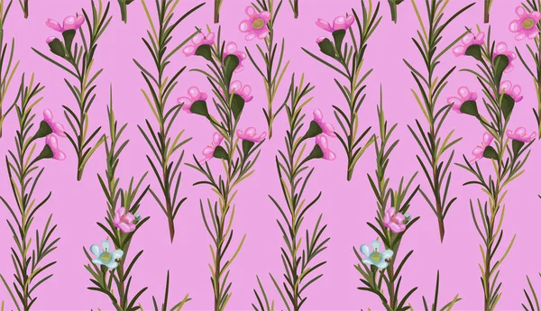 Nahtlose Aquarell Rosa Hintergrund Der Schönen Wachsblumen Mit Blättern Vektormuster — Stockvektor