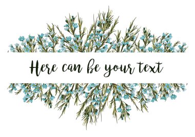 Yatay botanik vektör tasarım afiş veya düğün davetiyesi. Beyaz arka plan üzerinde izole mavi mum çiçek (Chamaelaucium). Tüm öğeleri editabl ise