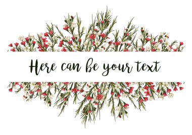 Güzel çiçek vektör tasarım çerçeve istiyor. beyaz ve kırmızı mum çiçek (Chamaelaucium), yaprakları ve üzerinde beyaz izole otlar. Yatay başlık şerit öğesi