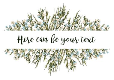 Yatay botanik vektör tasarım afiş. beyaz ve mavi mum çiçek (Chamaelaucium), yaprakları ve otlar. Doğal kartı veya çerçeve. Tüm öğeleri izole edilmiştir ve editabl