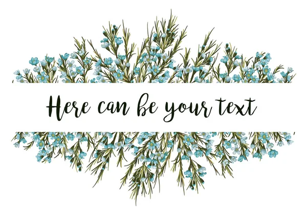 Yatay botanik vektör tasarım afiş veya düğün davetiyesi. Beyaz arka plan üzerinde izole mavi mum çiçek (Chamaelaucium). Tüm öğeleri editabl ise