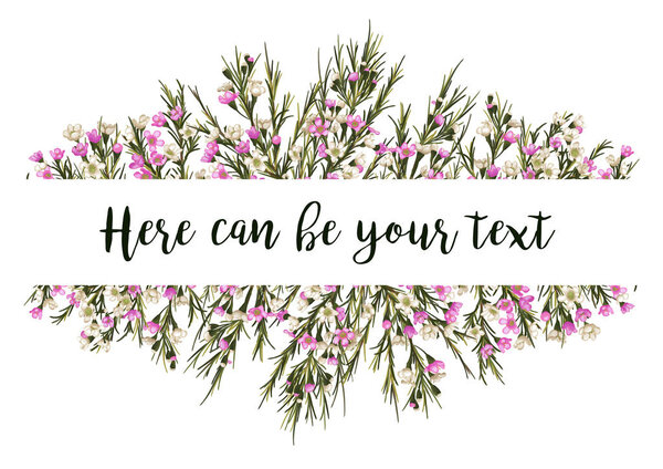 Vector pattern for wedding invitations, greeting cards, banners, labels, flyers, certificates. Bouquet of pink and white wax flowers Chamaelaucium framing the border isolated on white backgroun