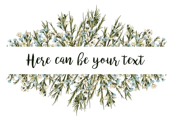 Yatay botanik vektör tasarım afiş. beyaz ve mavi mum çiçek (Chamaelaucium), yaprakları ve otlar. Doğal kartı veya çerçeve. Tüm öğeleri izole edilmiştir ve editabl