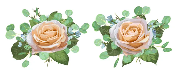 Set Vettoriale Acquerello Belle Rose Con Foglie Eucalipto Isolato Sfondo — Vettoriale Stock