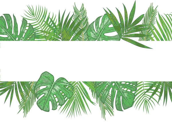 Bannière tropicale vectorielle, cadre, invitation de mariage, étiquette, postca — Image vectorielle