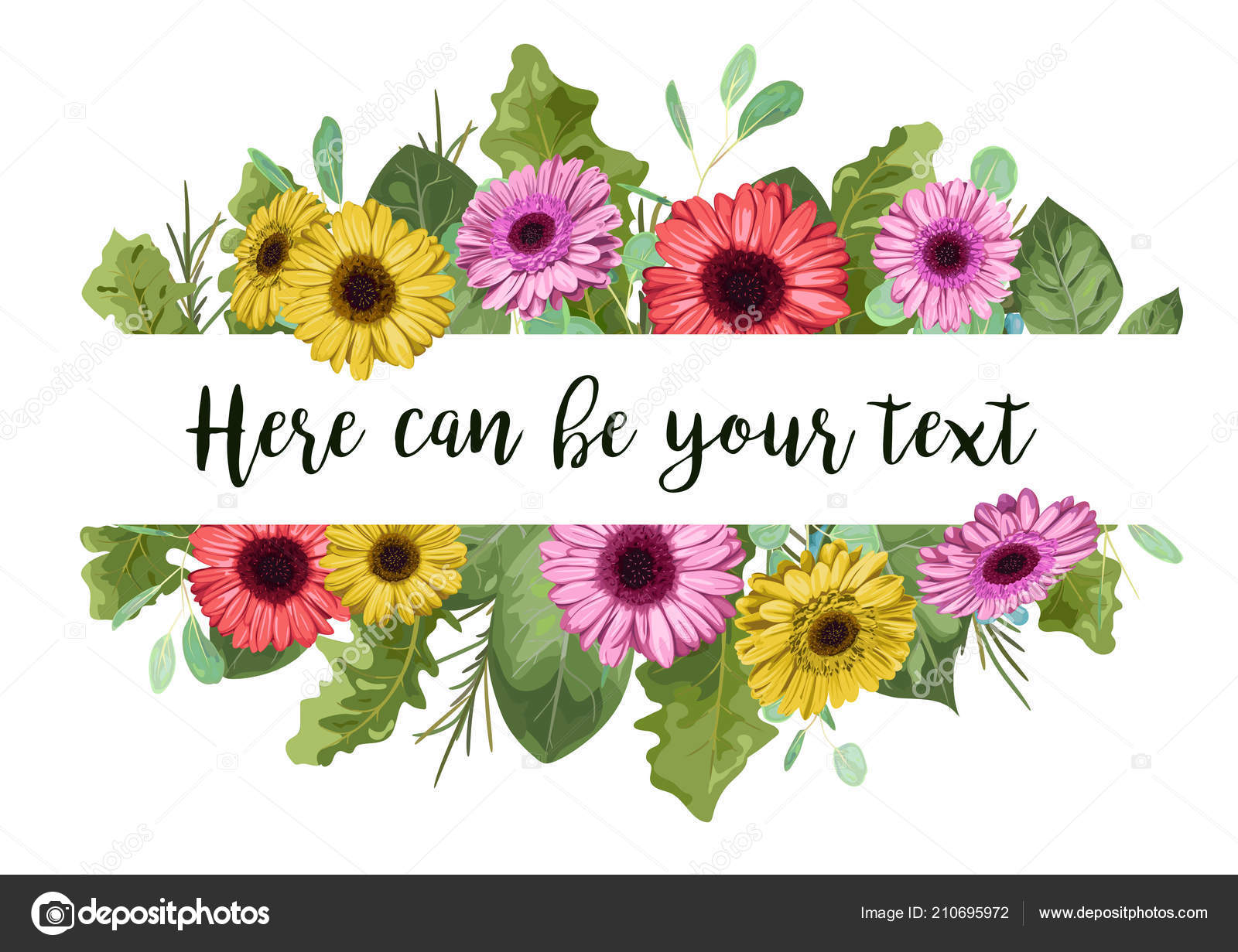 Vektor aquarell farbige gerbera und zweige der eukalyptus isoliert auf stockvektor