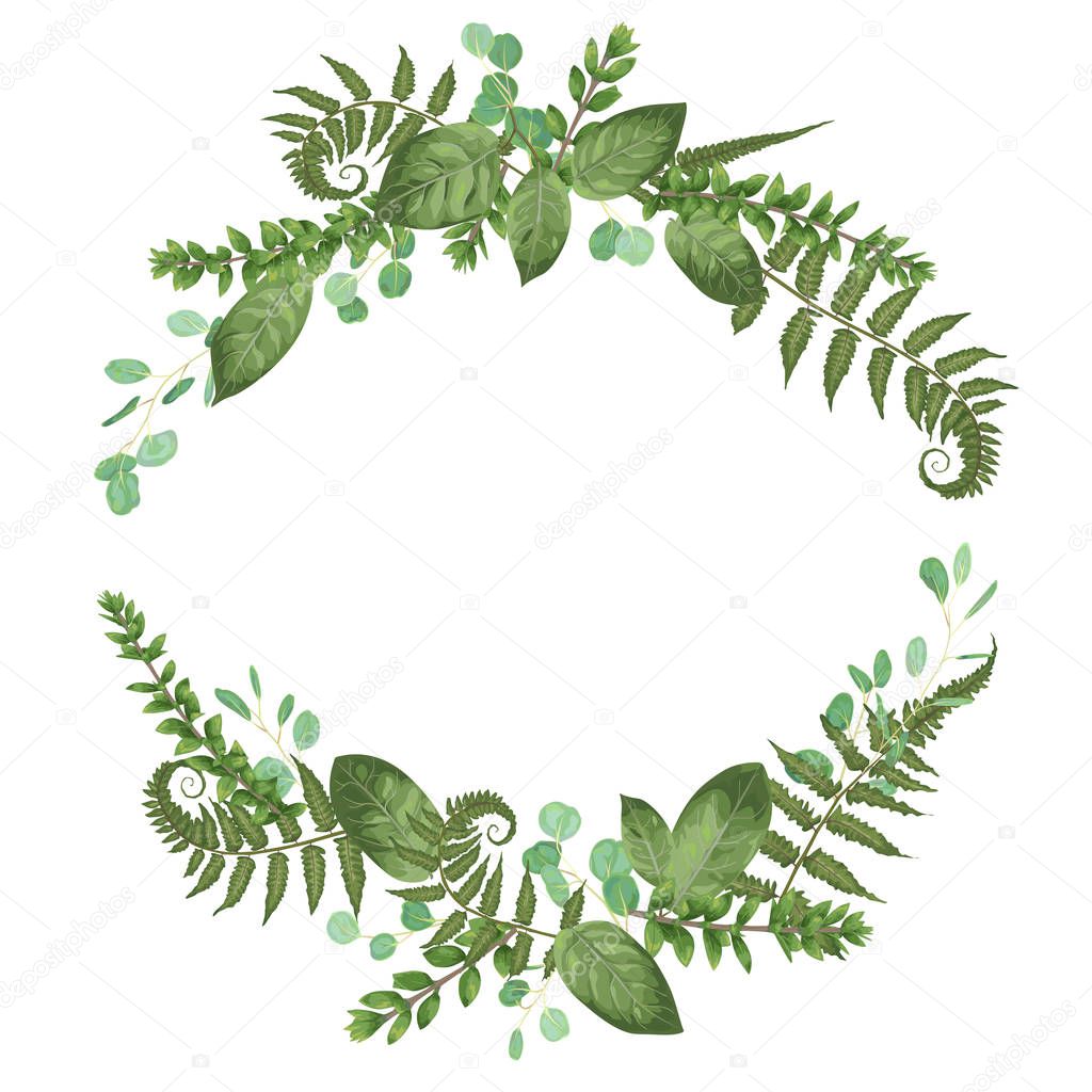 Vector floral bouquet design: set green forest fern, branches boxwood, buxus. Vector watercolor style, herbs, eucalyptus,. Wedding vector for invite card. Designer editable element bundl