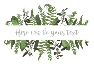 Vektör çizim bir çerçeve ile yeşil orman fern, şimşir ve Okaliptüs yaprakları. Düğün davetiyeleri, tebrik kartları, afiş, sertifikalar ve etiketleri için şablon. Horizonta