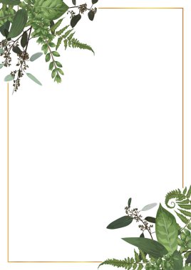 Okaliptüs, fern ve şimşir dallar üzerinde beyaz izole dekoratif altın dikdörtgen çerçeve. Düğün davetiyeleri, vinyetlerin, kartpostallar, posterler, belge, Diploma için. Vertica