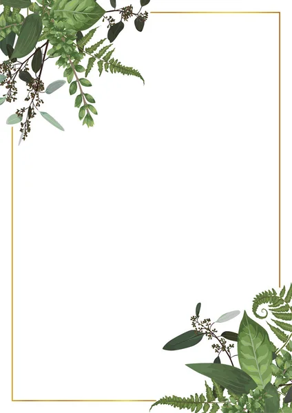 Moldura Retangular Dourada Decorativa Com Ramos Eucalipto Samambaia Buxo Isolados — Vetor de Stock