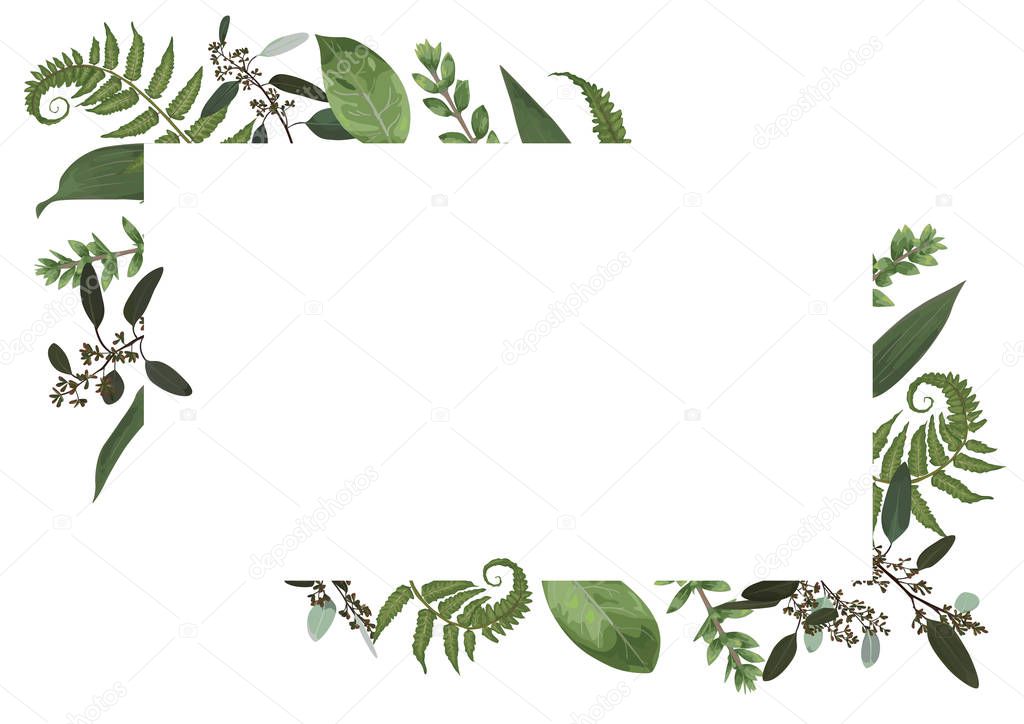 Vector card floral design with green watercolor, eucalyptus, for