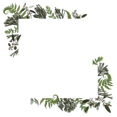 Vektör kartı çiçek tasarım yeşil suluboya, okaliptüs, orman fern, otlar, okaliptüs, dalları şimşir, şimşir, brunia, botanik yeşil, dekoratif yatay çerçeve, kare ile. İnvit düğün tebrik, kartpostal şablon, Cute