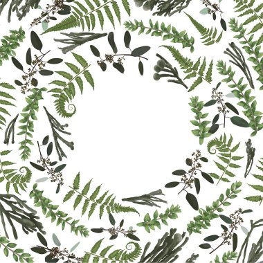 Yeşil vektör çelenk çerçeve dal ve yaprakları yapılmış. Orman fern, otlar, okaliptüs, dalları şimşir, şimşir, brunia, botanik yeşil beyaz arka plan üzerinde izole. Düğün davetiyeleri için kartpostal