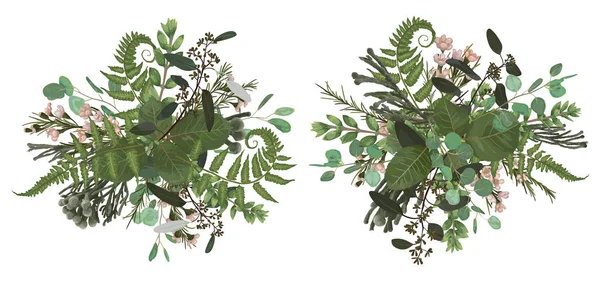 Vektor Blumenstrauß Designset Grünes Waldblatt Brunia Farn Zweige Buchsbaum Buchsbaum — Stockvektor