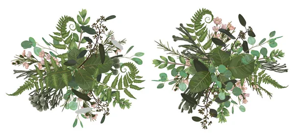 Vettoriale Bouquet Floreale Set Design Foglia Foresta Verde Brunia Felce — Vettoriale Stock