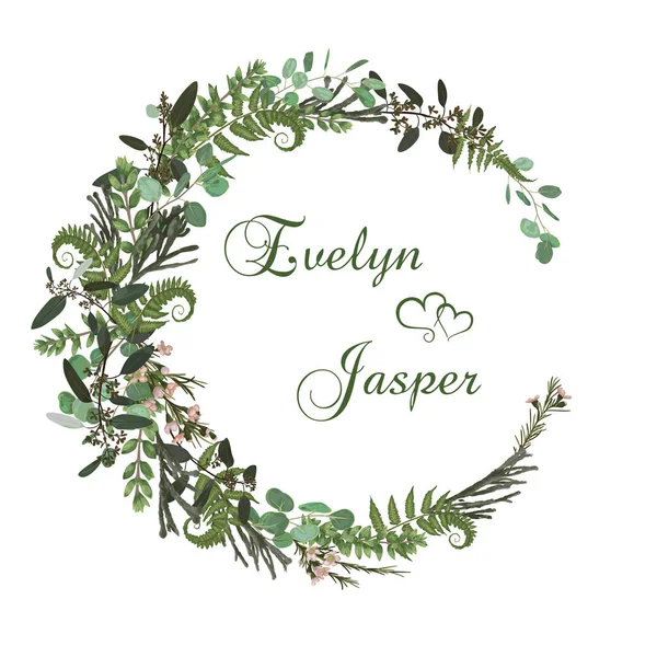 Çelenk otlar ve beyaz arka plan üzerinde izole yaprakları ile. Botanik illüstrasyon. Şimşir, okaliptüs, brunia, orman fern. Tarih, davetiyeler, kartları kaydedin. Tasarım öğeleri. Vecto