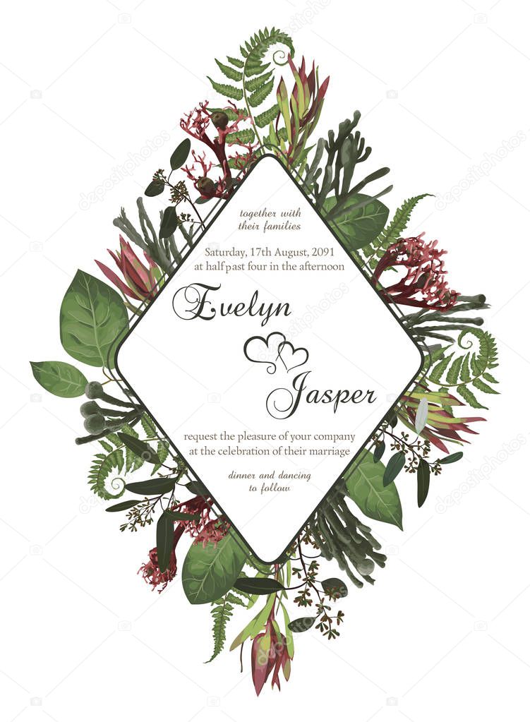 Plants, leaves, branches, brunia, blooming eucalyptus, leucadend