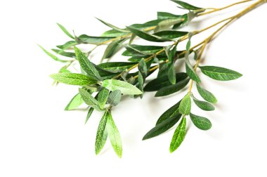 Arkaplanda dallar ve yapraklar 10