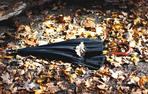Старый Закрытый Зонтик Осеннем Парке Солнечный День Лицензионные Стоковые Фото