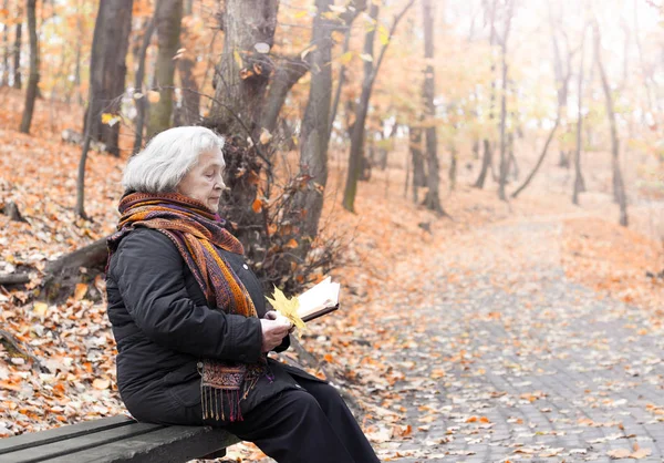 Elderly Woman Reading Book Park Walk Stock Image