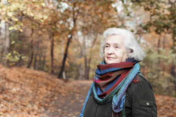 Пожилая Женщина Прогулке Парке Осенью Днем Стоковое Фото