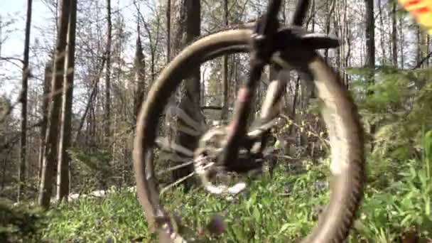 Горный велосипедист едет на велосипеде рядом с лесным велосипедом, стрельба в замедленной съемке — стоковое видео