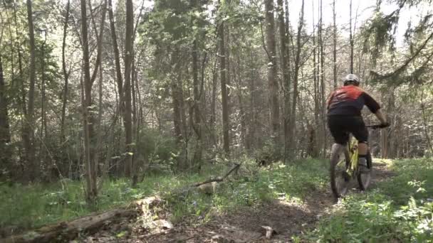 Гірський велосипедист їде на велосипеді на лісовому велосипеді, повільна стрільба — стокове відео