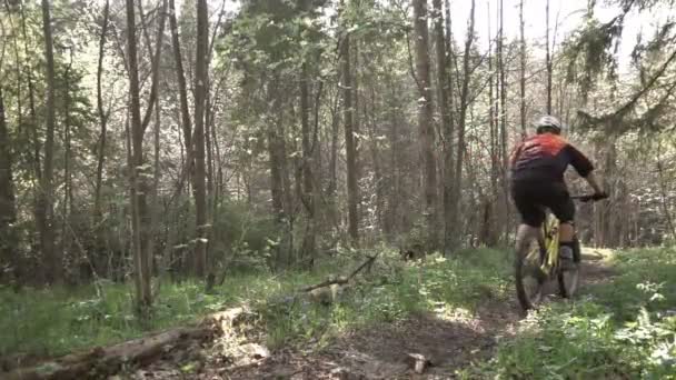 Гірський велосипедист їде на велосипеді на лісовому велосипеді, повільна стрільба — стокове відео