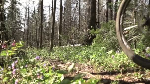 Un ciclista de montaña está montando una bicicleta en una bicicleta forestal, disparos en cámara lenta — Vídeos de Stock