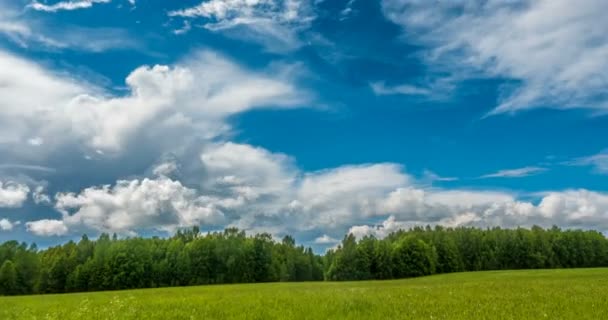 Hermoso lapso de tiempo sobre un paisaje de verano agudo — Vídeos de Stock