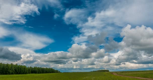 Beau laps de temps sur un paysage estival vif — Video