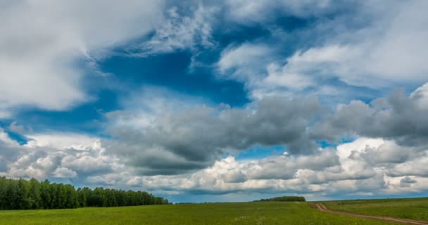 Beau laps de temps sur une boucle vidéo paysage été vif — Video