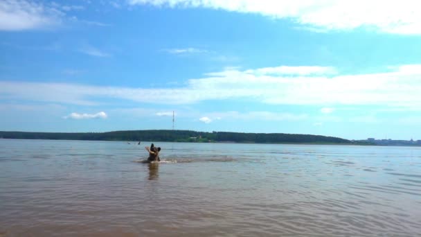 Németjuhász fut végig a nyári erdei ösvényen, lassú mozgás — Stock videók