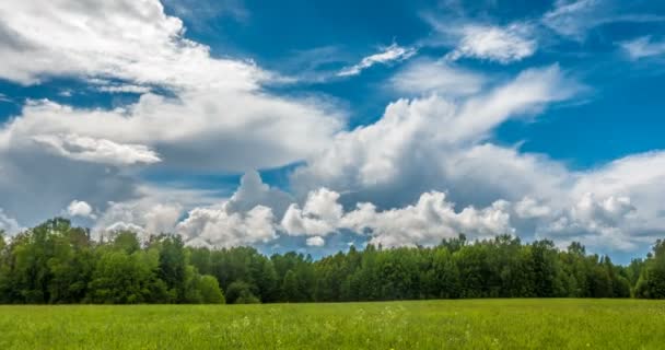 Beau laps de temps sur une boucle vidéo paysage été vif 