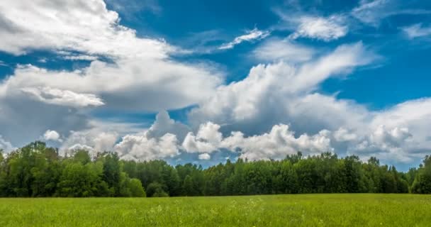 Schöner Zeitraffer über eine scharfe Sommerlandschaft-Video-Schleife — Stockvideo