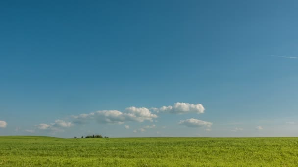 Schöner Zeitraffer über eine scharfe Sommerlandschaft, Videoschleife — Stockvideo