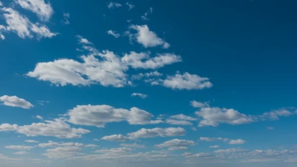 Beautiful time lapse over a keen summer landscape — Stock Video