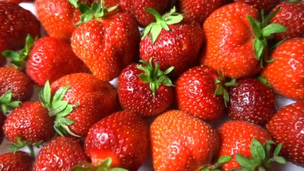 Fresa roja madura del jardín, rotación de bayas en la mesa blanca, fondo hermoso — Vídeos de Stock