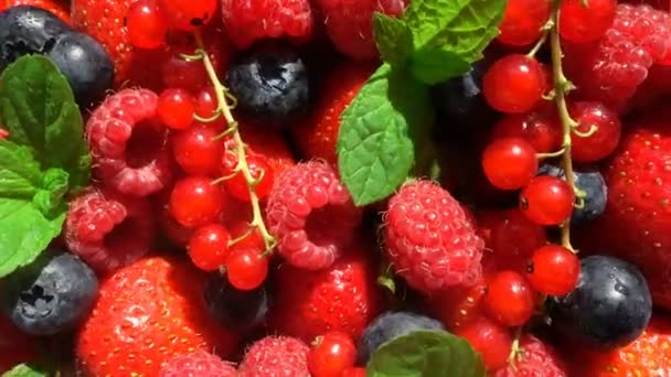 Red ripe garden strawberry and blueberry, rotation of berries on white table, beautiful background, video loop — Stock Video