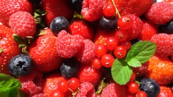 Rosso maturo giardino fragola e mirtillo, rotazione di bacche su tavolo bianco, bello sfondo — Video Stock