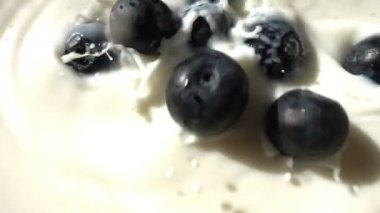 Süt, ağır çekim içine taze yaban mersini düşmek