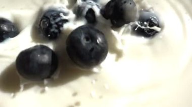 Süt, ağır çekim içine taze yaban mersini düşmek