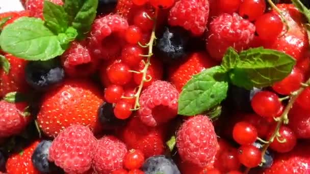 Червоний стиглий сад полуниця і чорниця, обертання ягід на білому столі, красивий фон, відео петля — стокове відео