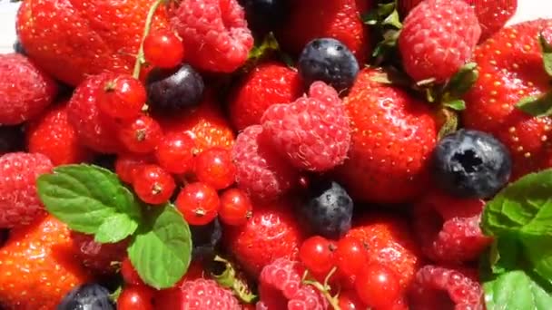 Rote reife Gartenerdbeeren und Blaubeeren, Rotation der Beeren auf weißem Tisch, schöner Hintergrund — Stockvideo