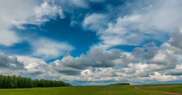 Mooie Time Lapse Een Scherp Zomer Landschap Video Lus — Stockvideo