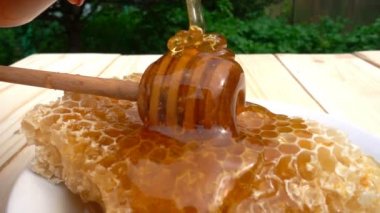 Bal ayı petek üzerinde gelen sarı arka plan üzerinde damlayan tatlım. ağır çekim