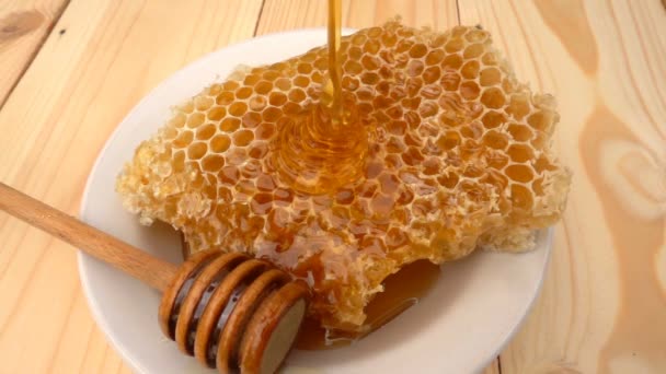 Mel pingando de mergulhador de mel em favo de mel, sobre fundo amarelo. câmara lenta — Vídeo de Stock