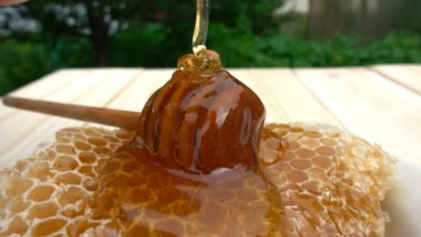 Mel pingando de mergulhador de mel em favo de mel, sobre fundo amarelo. 4k — Vídeo de Stock